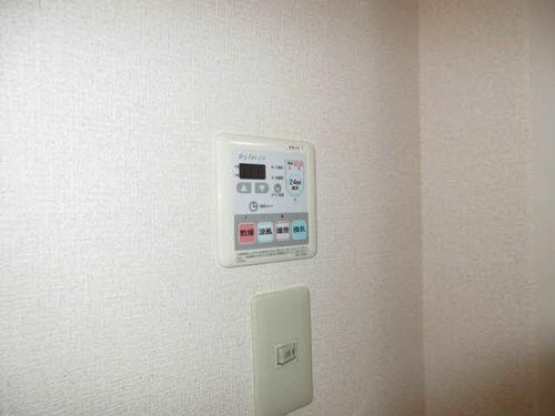 グリュック タカラのその他画像