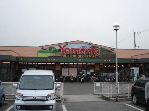 アルティアのその他画像