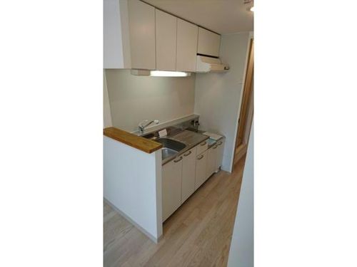 北海道札幌市中央区南九条西12丁目(マンション)の賃貸物件401のキッチン