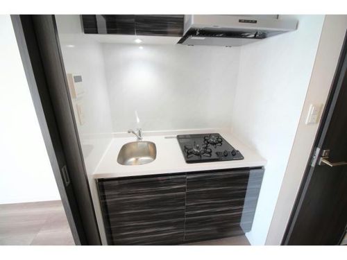 愛知県安城市相生町(マンション)の賃貸物件のキッチン