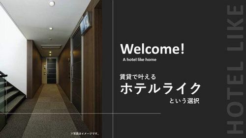 白壁 THE GARDEN300の内装