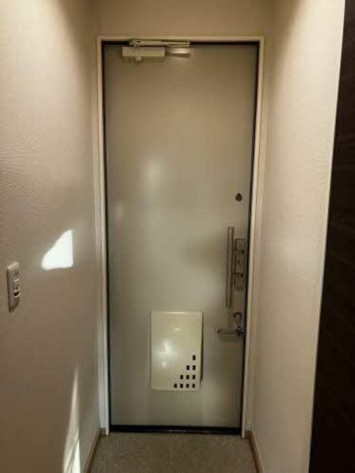 ローザンヌ0203の玄関