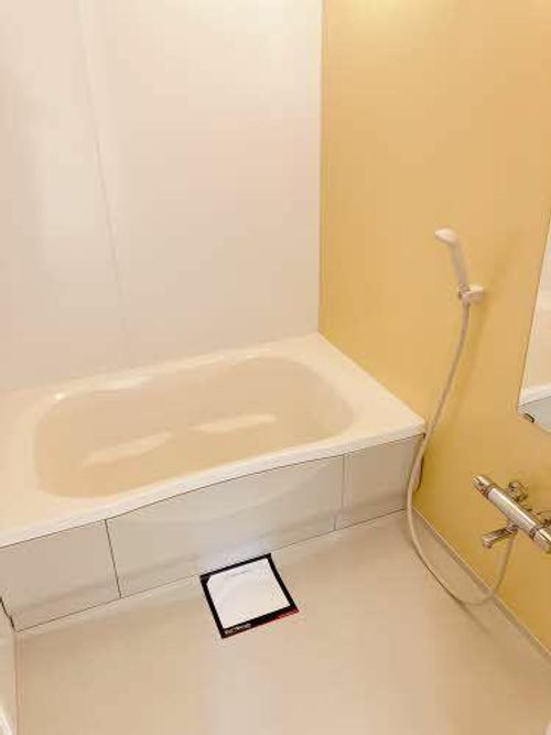 メゾン ラフェリオ0103の内装