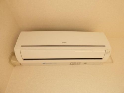 グレイス・シェーネのその他画像