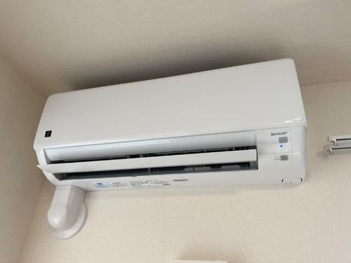 ブルースカイのその他画像