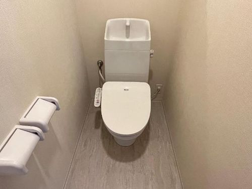 ブルースカイの内装