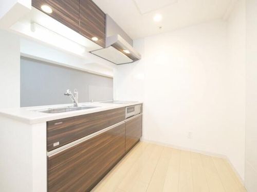 北海道札幌市中央区南四条東4丁目(マンション)の賃貸物件のキッチン