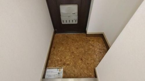 大阪府豊中市庄内東町2丁目(マンション)の賃貸物件の玄関
