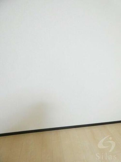 大阪府守口市大日東町(アパート)の賃貸物件の内装