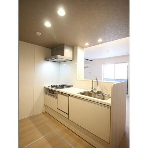 D-ROOM KAWAZOE103のキッチン