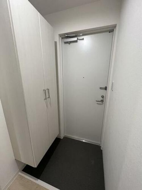 ミルーナヒルズ茨木103の玄関