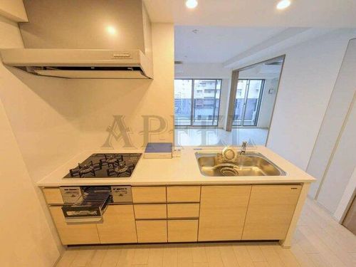 大阪府吹田市垂水町3丁目(マンション)の賃貸物件のキッチン
