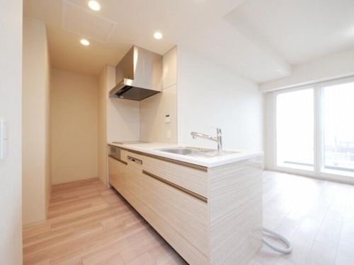 北海道札幌市東区北六条東2丁目(マンション)の賃貸物件のキッチン