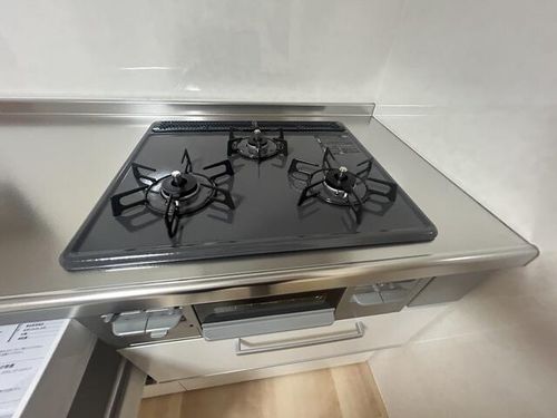 大阪府高槻市南大樋町(一戸建)の賃貸物件のその他画像