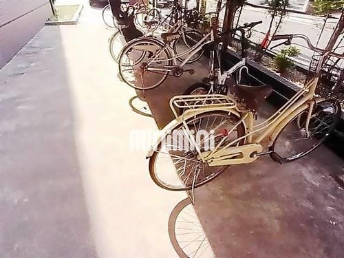 serenadeのその他画像