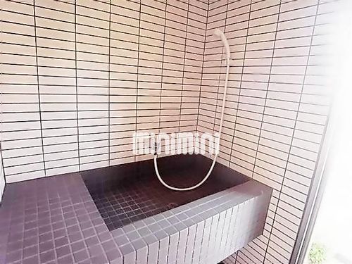 serenadeのその他画像