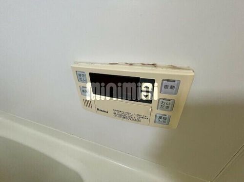 ファーストシーズンのその他画像