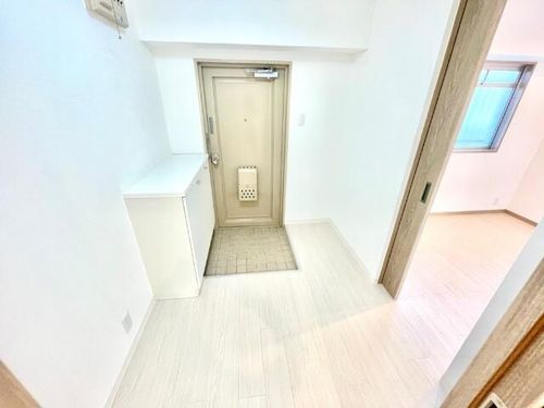 エレガンスタカネの玄関