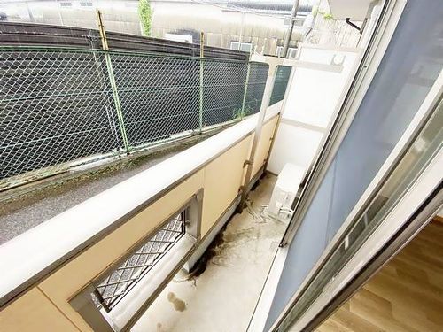 J・シェスタの内装