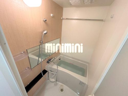 プレサンス太閤通駅前デュプル209の風呂