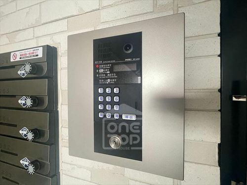 ALEGRIA岸辺のその他画像