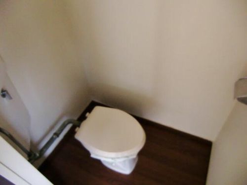 黄金ハウスの内装