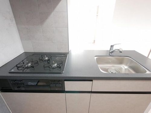 北海道札幌市中央区南十六条西6丁目(マンション)の賃貸物件のキッチン