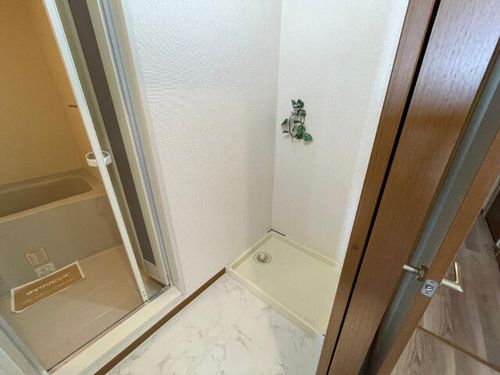 パイン・ウォールのその他画像