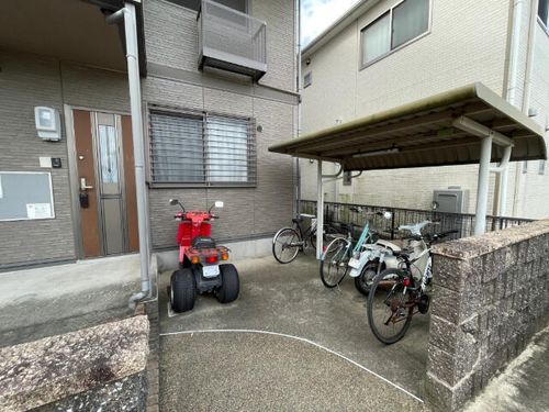 パイン・ウォールのその他画像