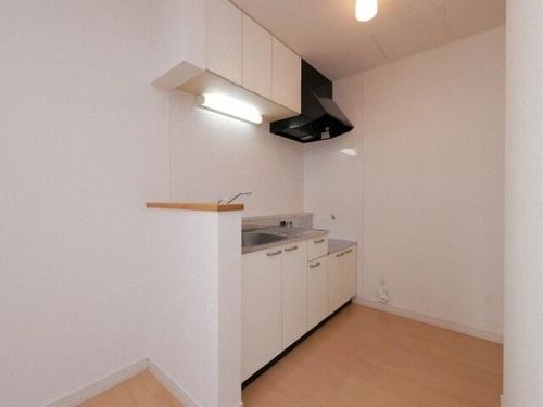 サンテラス元町Ⅲ202のキッチン