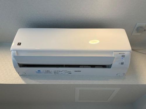 ハナミズキのその他画像