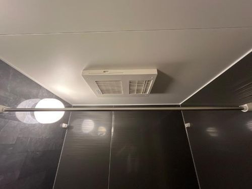 ハナミズキのその他画像