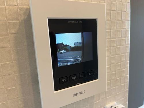 ハナミズキのその他画像