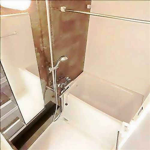 セイワパレス丸の内駅前プレミアの風呂