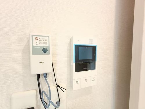 アングレカム201のその他画像