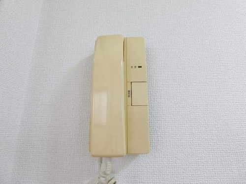 シンシアみずほのその他画像