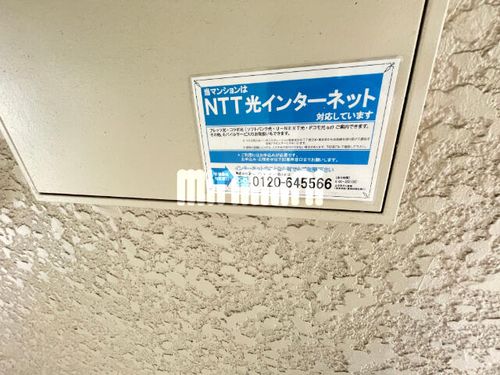 メゾンドールサカエの玄関