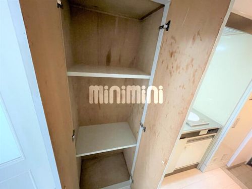 ファーストスプリングの内装