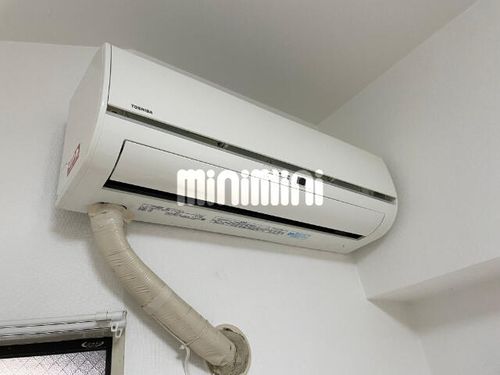 ファーストスプリングのその他画像