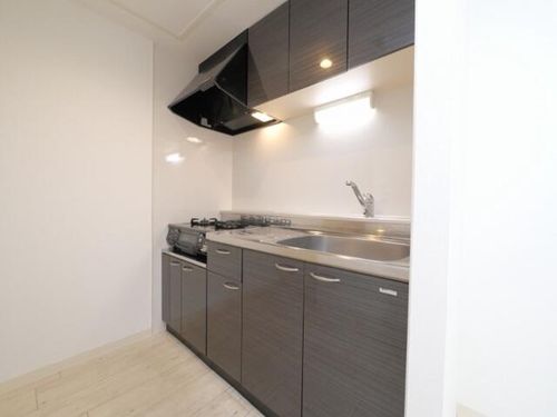 北海道札幌市中央区南十条西6丁目(マンション)の賃貸物件のキッチン