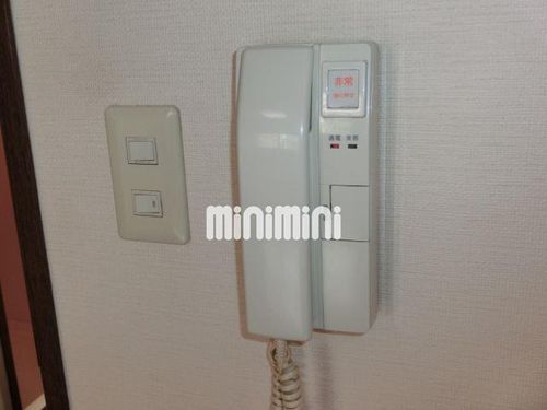 グレートトレジャー章貴のその他画像