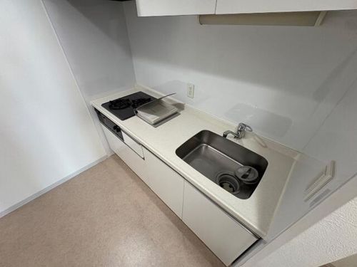 北海道札幌市中央区北五条西11丁目(マンション)の賃貸物件のキッチン