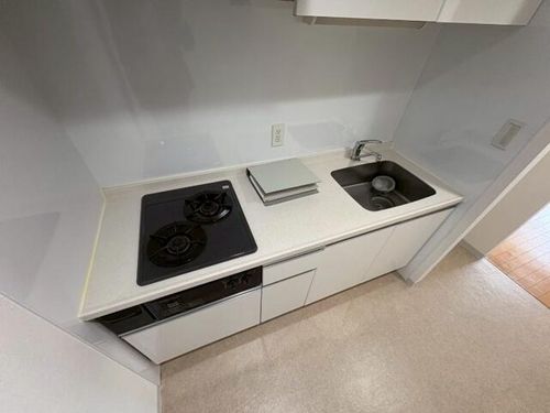 北海道札幌市中央区北五条西11丁目(マンション)の賃貸物件のキッチン