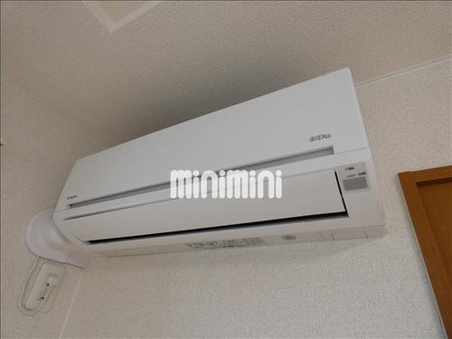 ロータス コンファのその他画像