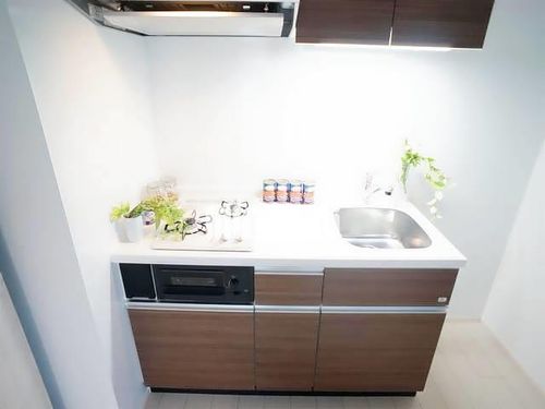 THE DOORSのキッチン