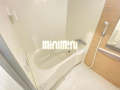 プレミアムキャッスル豊山の風呂