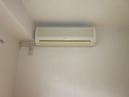 プラムのその他画像