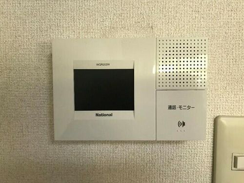 プラムのその他画像
