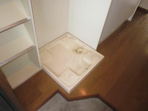 プラムのその他画像