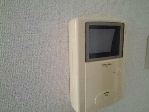 ストリーム並木のその他画像